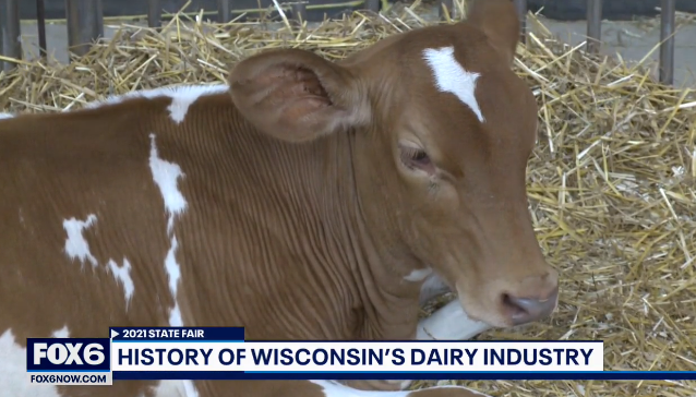 Dairy Lane at Wisconsin State Fair