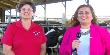 Supporting Wisconsin's dairy farmers during June Dairy Month