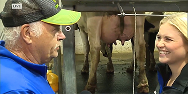 NBC 26's Jenna Bree Milks a Cow on National Farmers Day