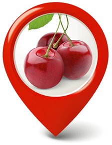 Cherries