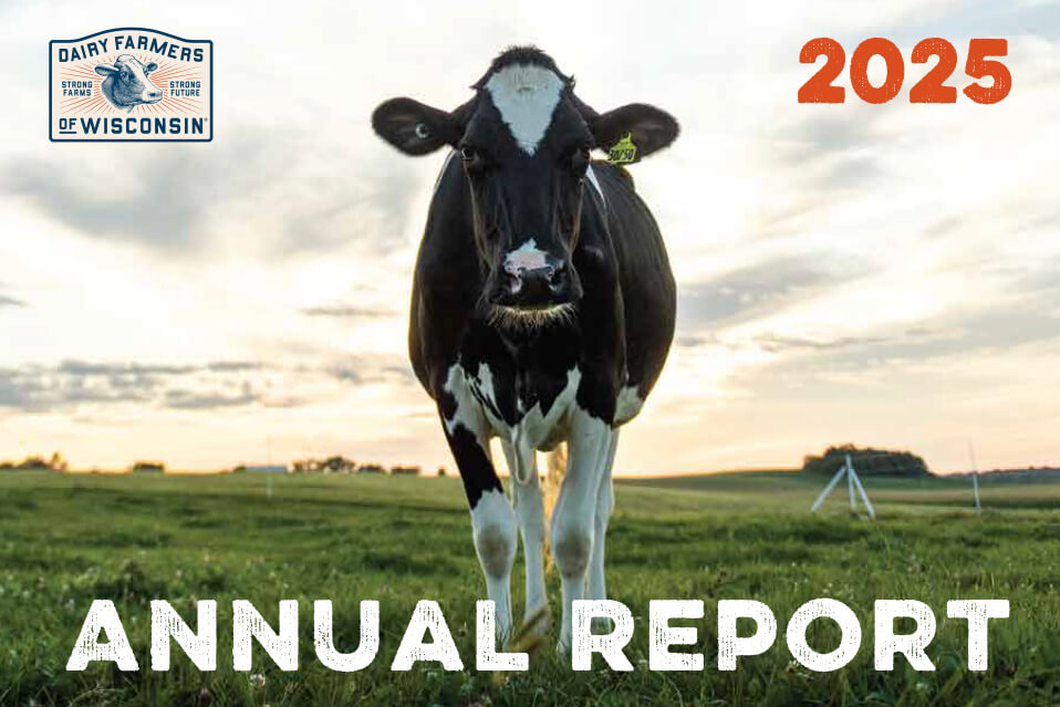 annual report 2024 cover