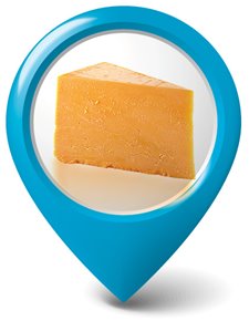 Wisconsin Cheese