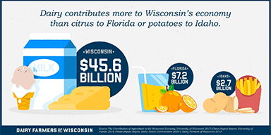 DairyReporter.com: Wisconsin Dairy Supports 157K Jobs & Has a $45.6bn Impact