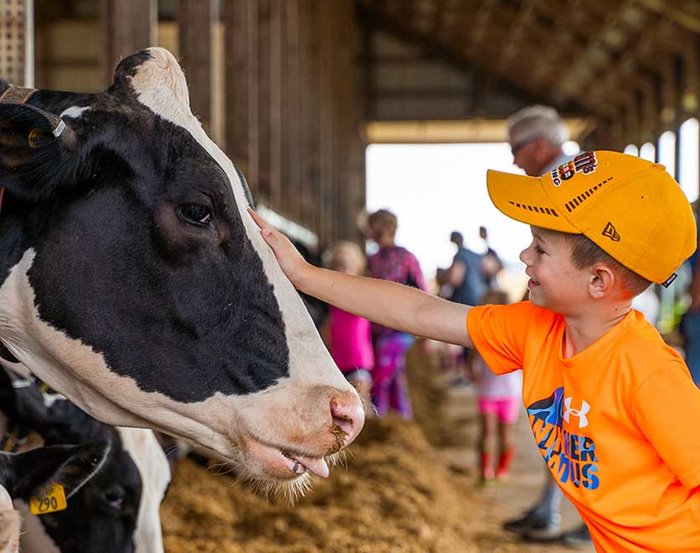Dairy Month