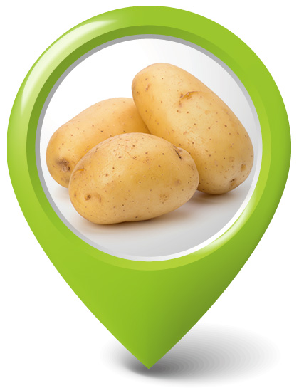 Potatoes