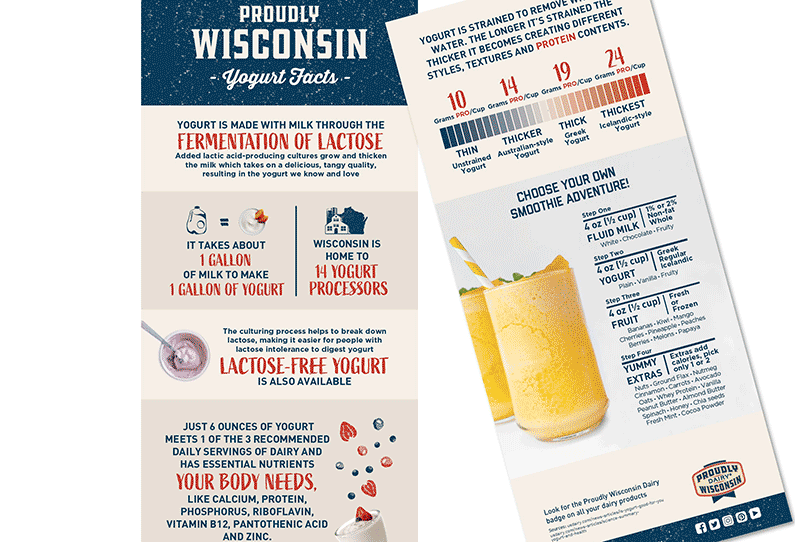 Fact Card Yogurt